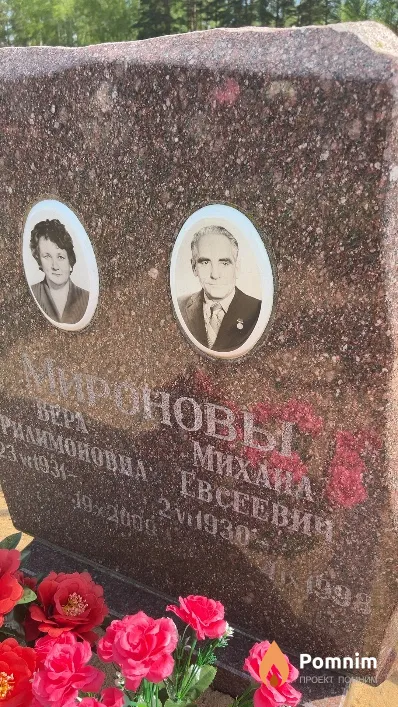 Миронов Михаил Евсеевич