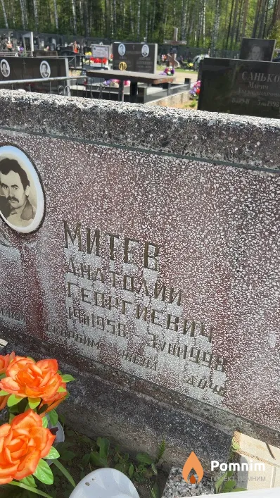 Митев Анатолий Георгиевич