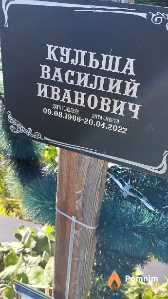 Кульша Василий Иванович