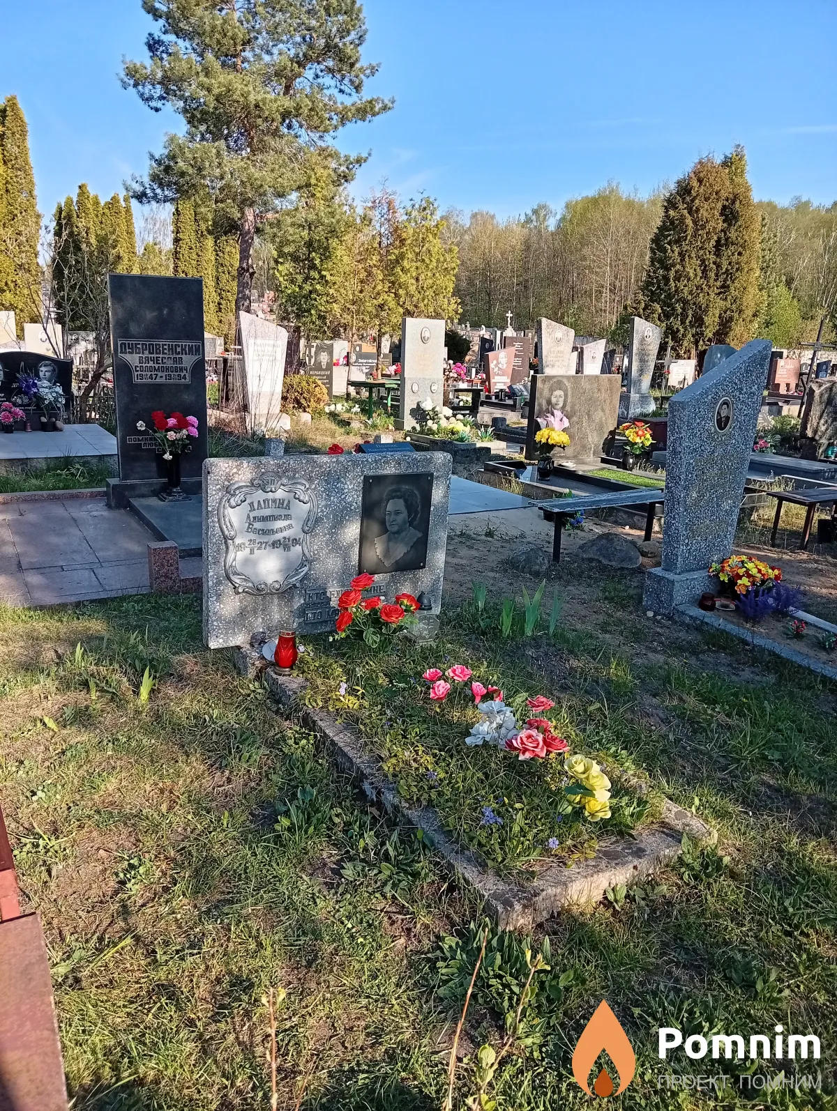 Лапина Алимпиада Васильевна