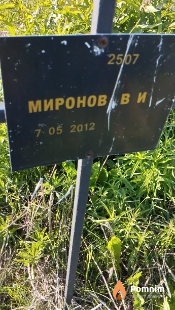 Миронов В И