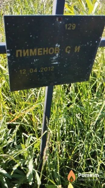 Пименов С И