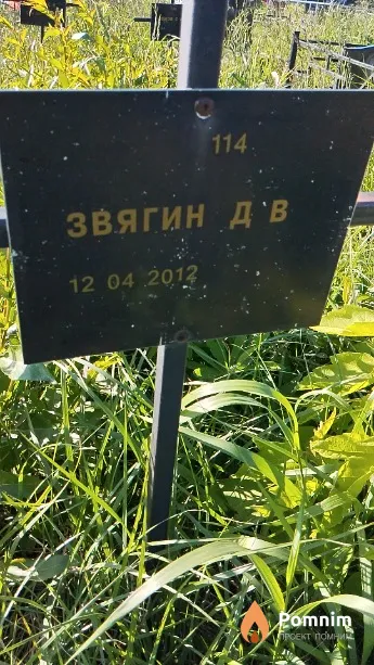 Звягин Д В