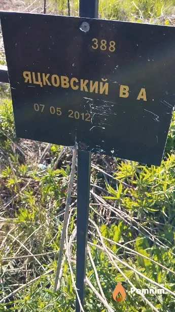 Яцковский В А