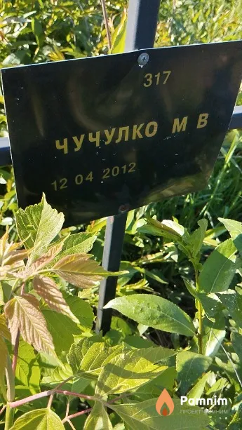 Чучулко М В
