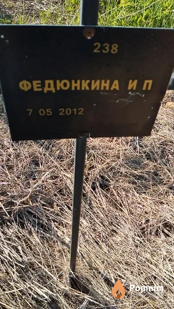 Федюнкина И П