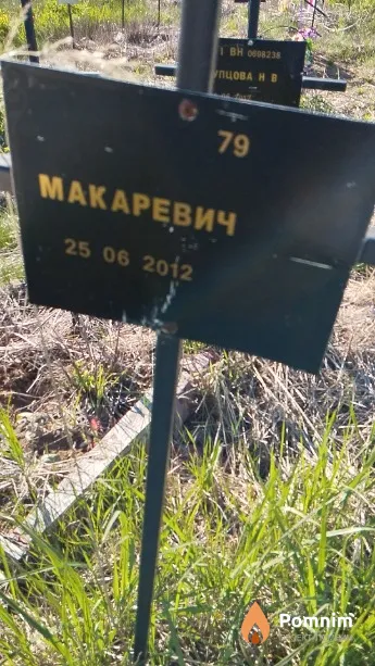 Макаревич ХХХ