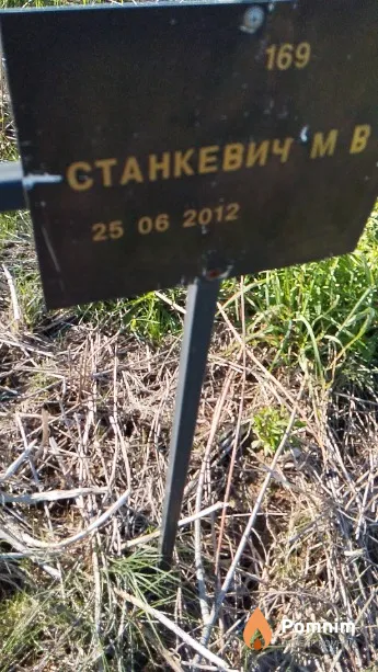 Станкевич М В