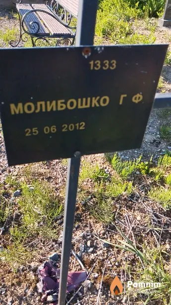Молибошко Г Ф