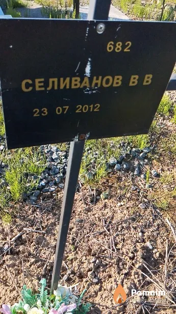 Селиванов В В