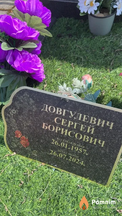 Довгулевич Сергей Борисович