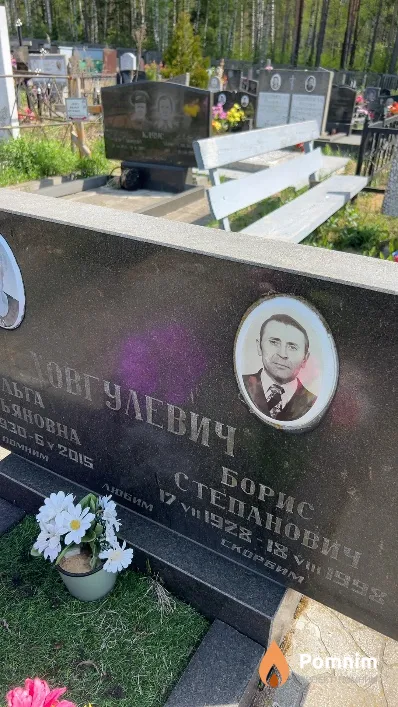 Довгулевич Борис Степанович