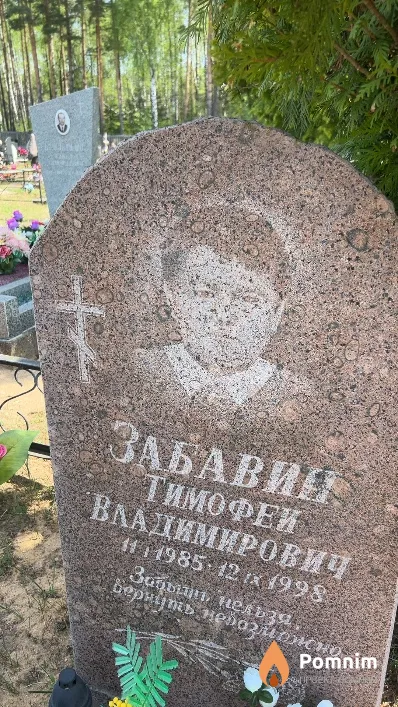 Забавин Тимофей Владимирович
