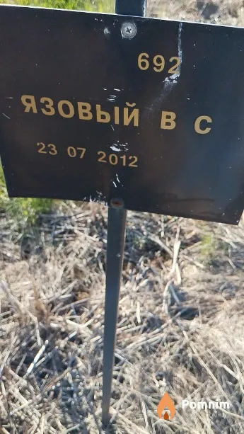 Язовый В С