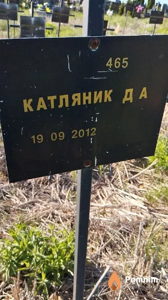 Катляник Д А