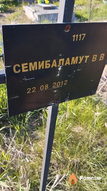 Семибаламут В В
