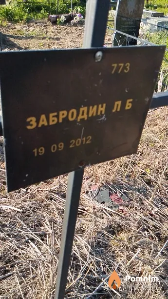 Забродин Л Б