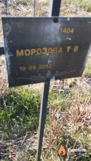 Морозова Т В