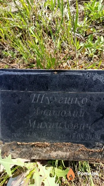 Шулешко Анатолий Михайлович