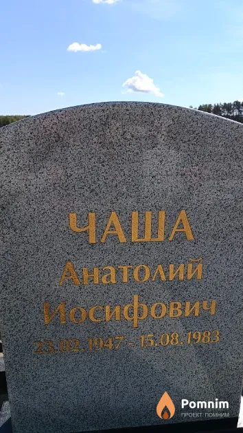 Чаша Анатолий Иосифович