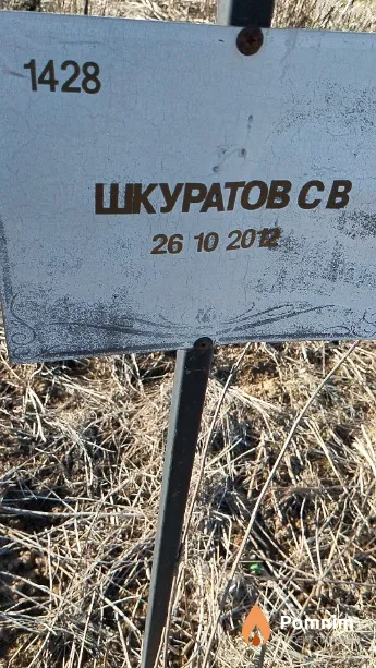 Шкуратов С В