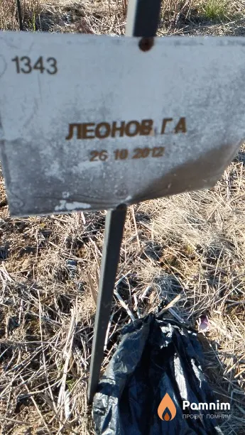 Леонов Г А