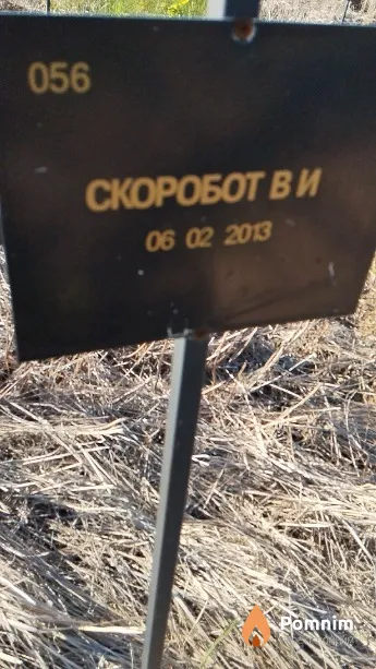 Скоробот В И