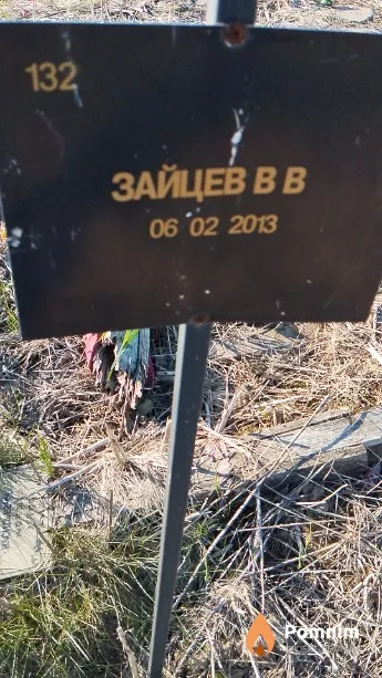 Зайцев В В