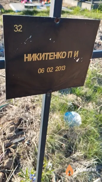 Никитенко П И