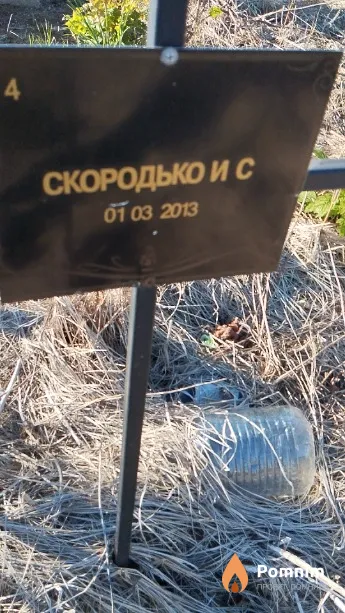 Скородько И С
