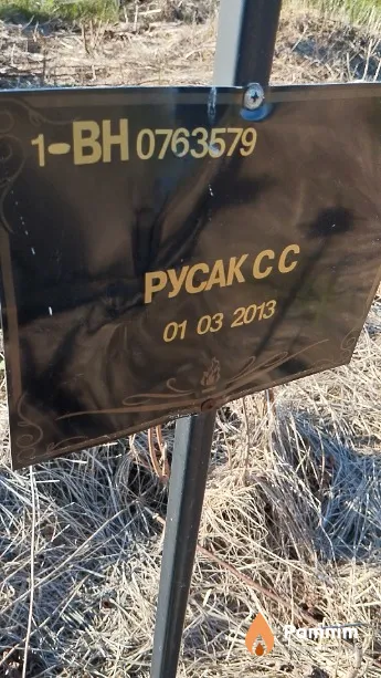 Русак С С