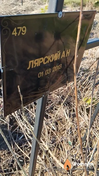 Лярский А Н