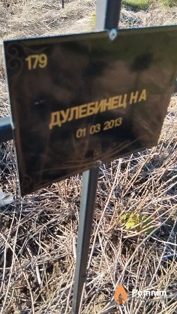 Дулебинец Н А