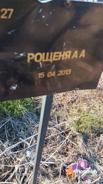 Рощеня А А