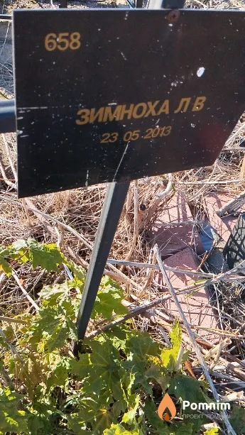 Зимноха Л В