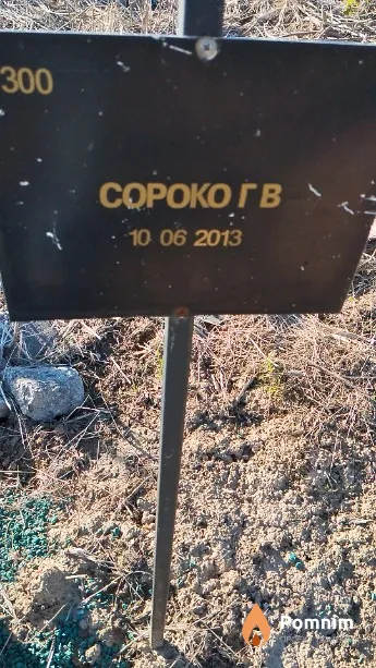 Сороко Г В