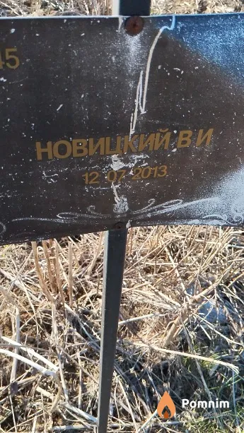 Новицкий В И