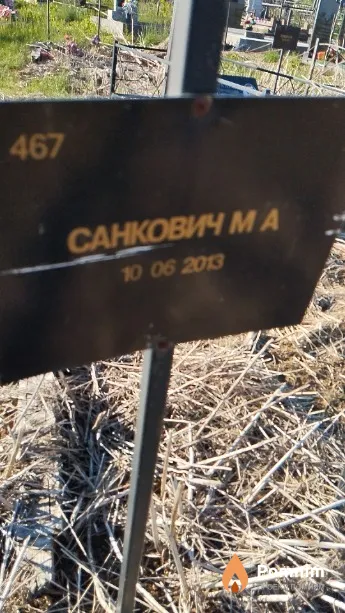 Санкович М А