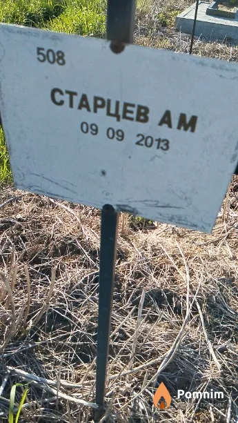 Старцев А М