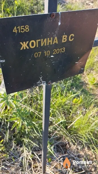 Жогина В С