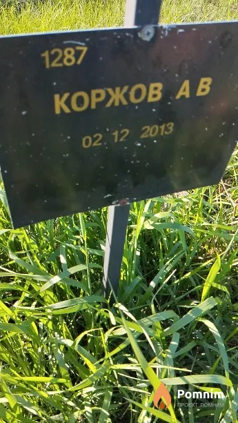Коржов А В