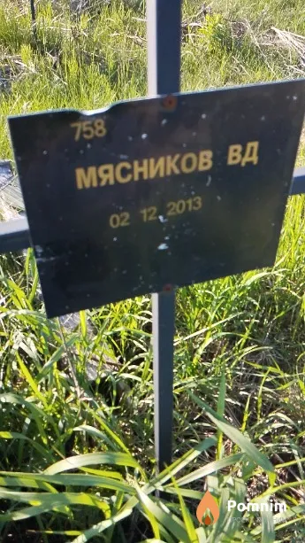 Мясников В Д