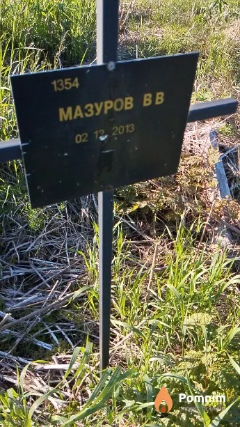 Мазуров В В
