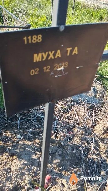 Муха Т А