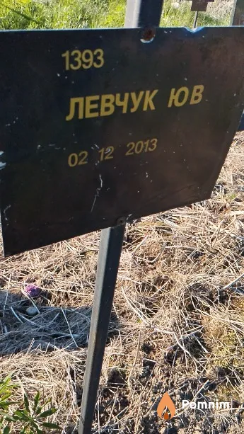 Левчук Ю В