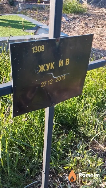 Жук И В