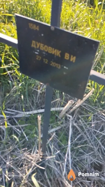 Дубовик В И