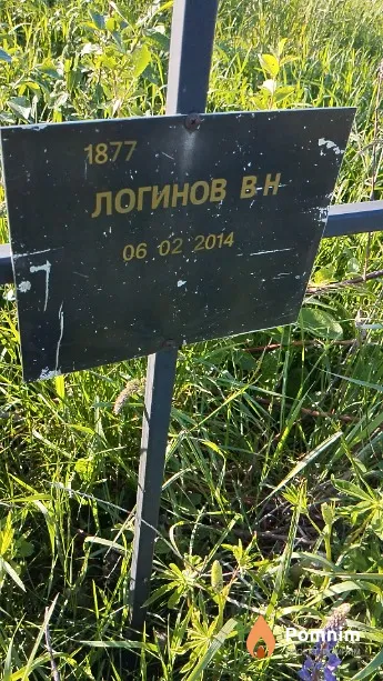 Логинов В Н