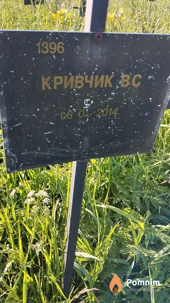 Кривчик В С