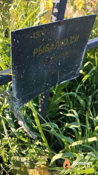 Рыбалю С И